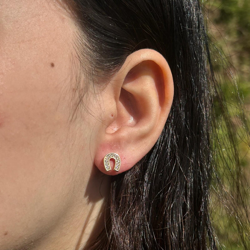 At Nalı Desenli Küpe